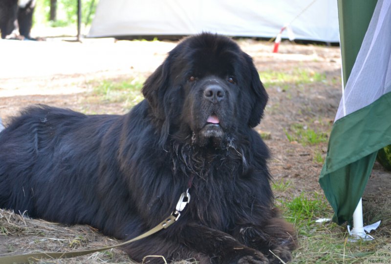 Фотография № 187702