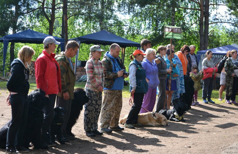 Фотография № 187703