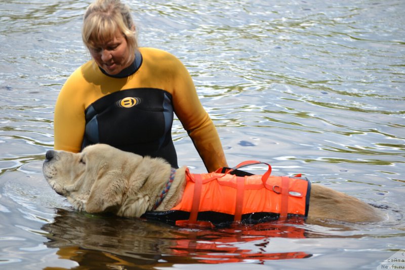 Фото: Елена Вотчал