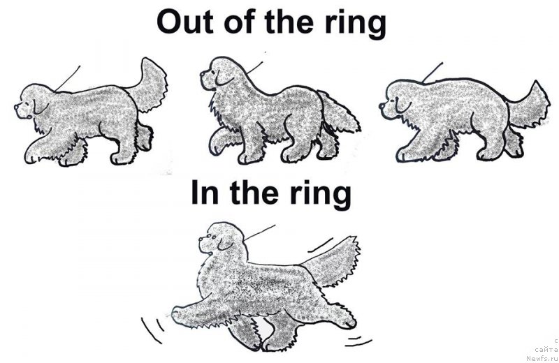 Фотография № 187719