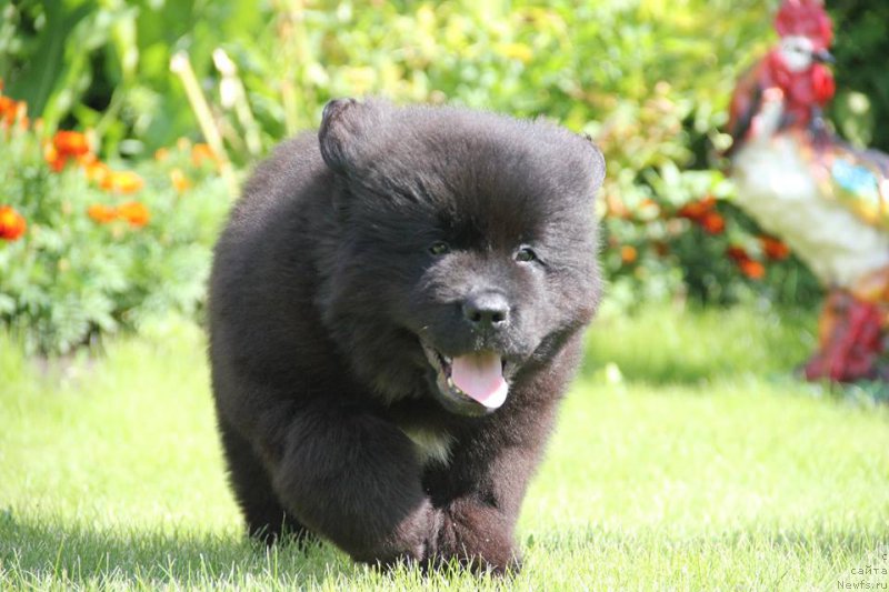 Фотография № 187724