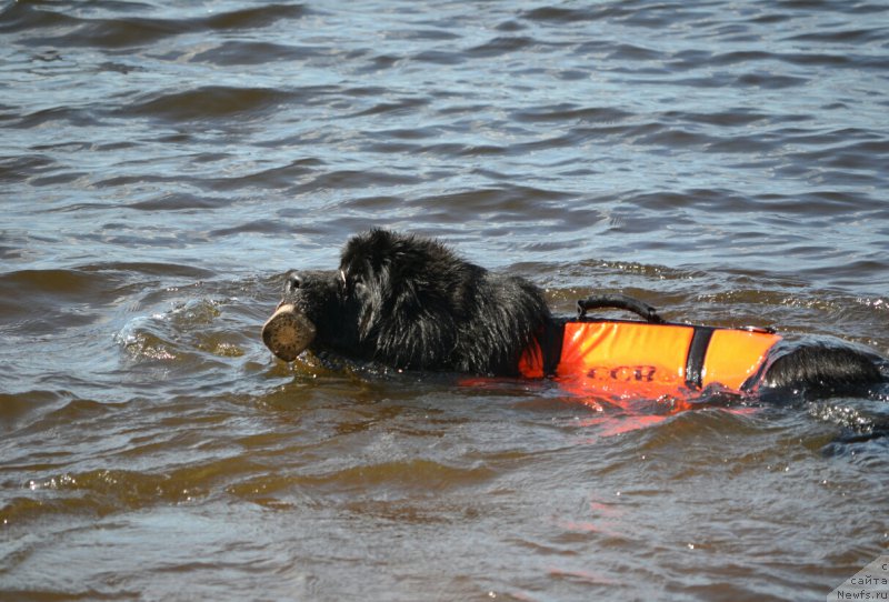 Фотография № 187733