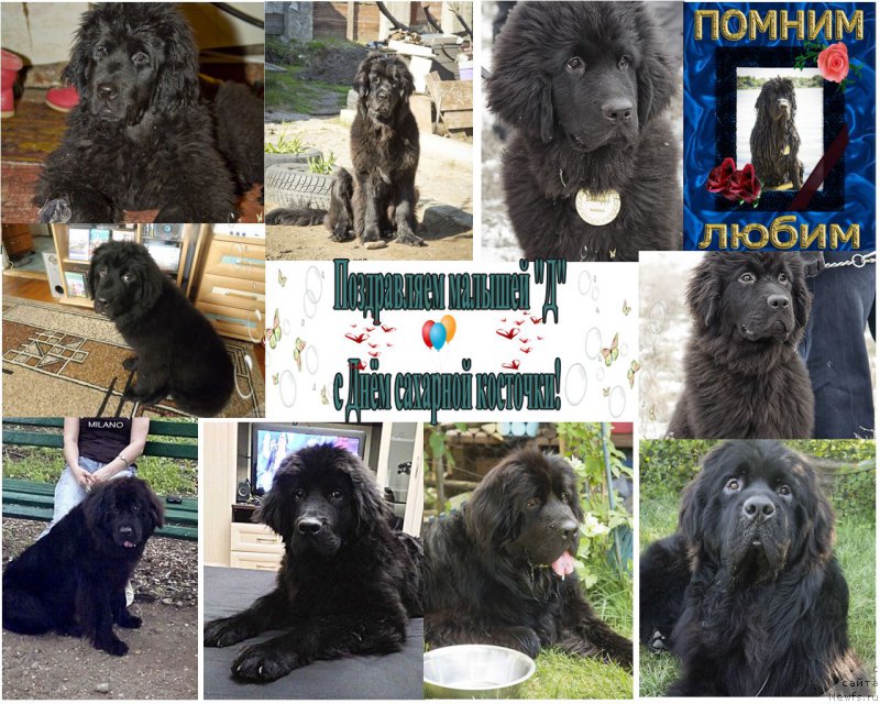 Фотография № 187740