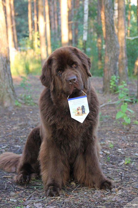 Фотография № 187741