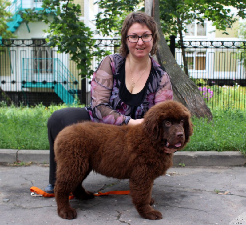 Фотография № 187744