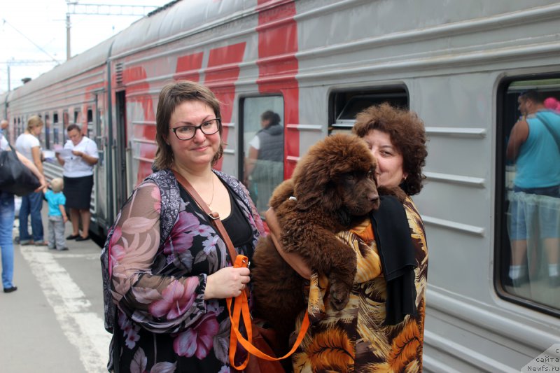 Фотография № 187746