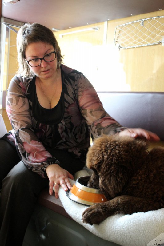 Фотография № 187747