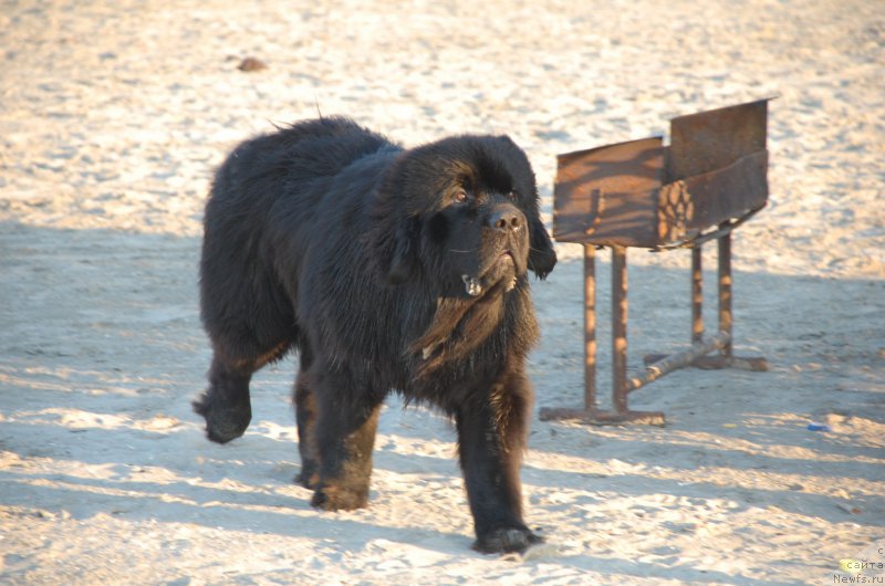 Фотография № 187753