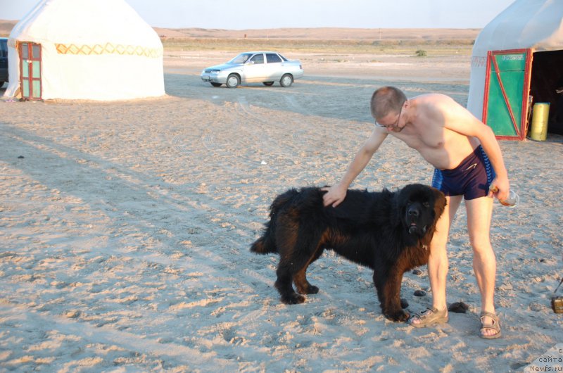 Фотография № 187762