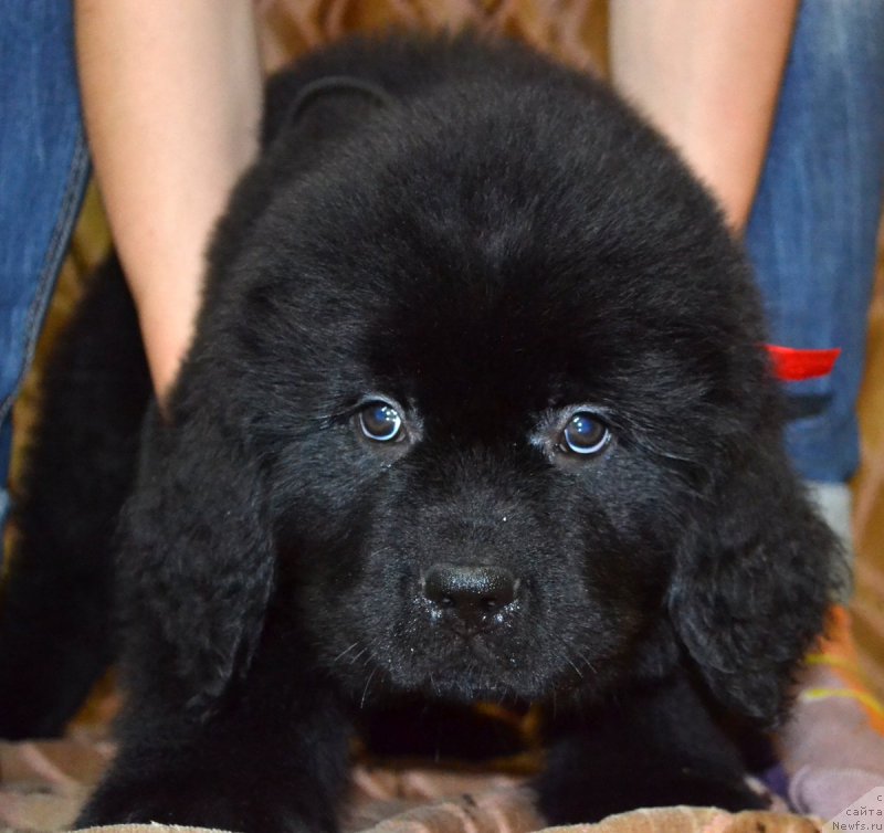 Фотография № 187765