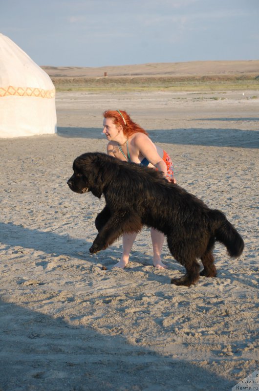 Фотография № 187771