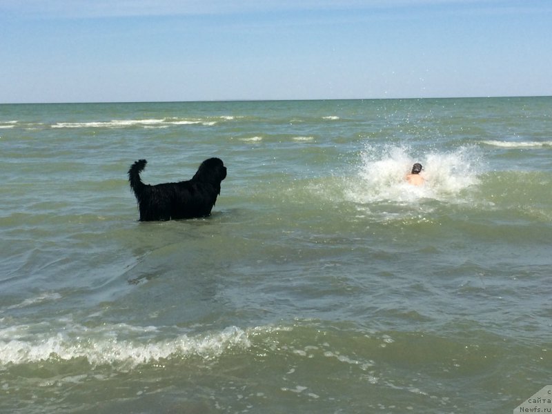 Фотография № 187774