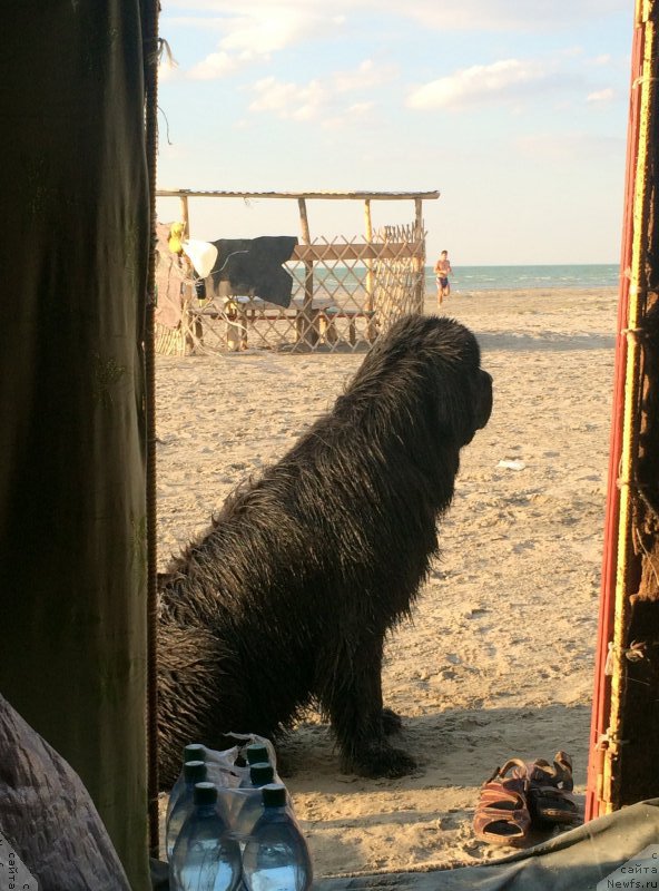 Фотография № 187782