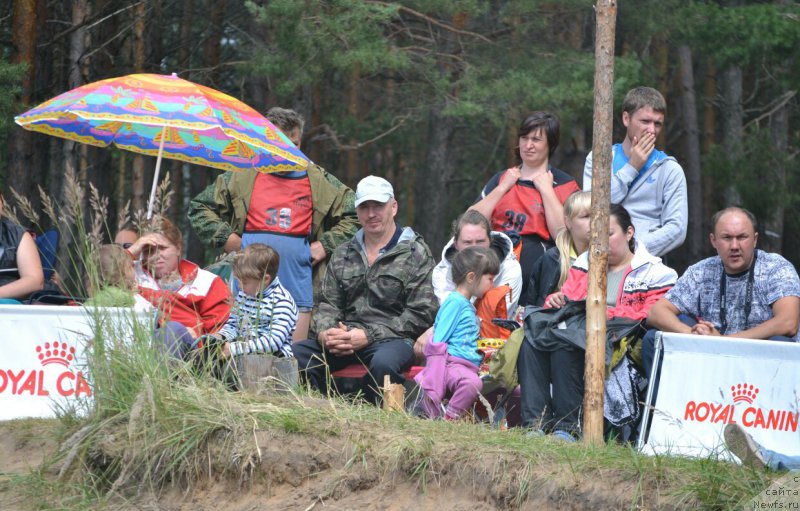 Фотография № 187797