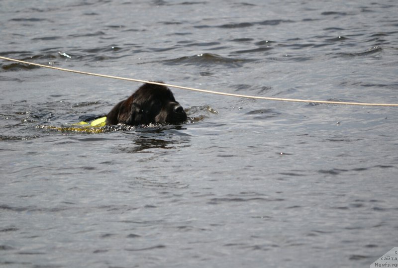 Фотография № 187804