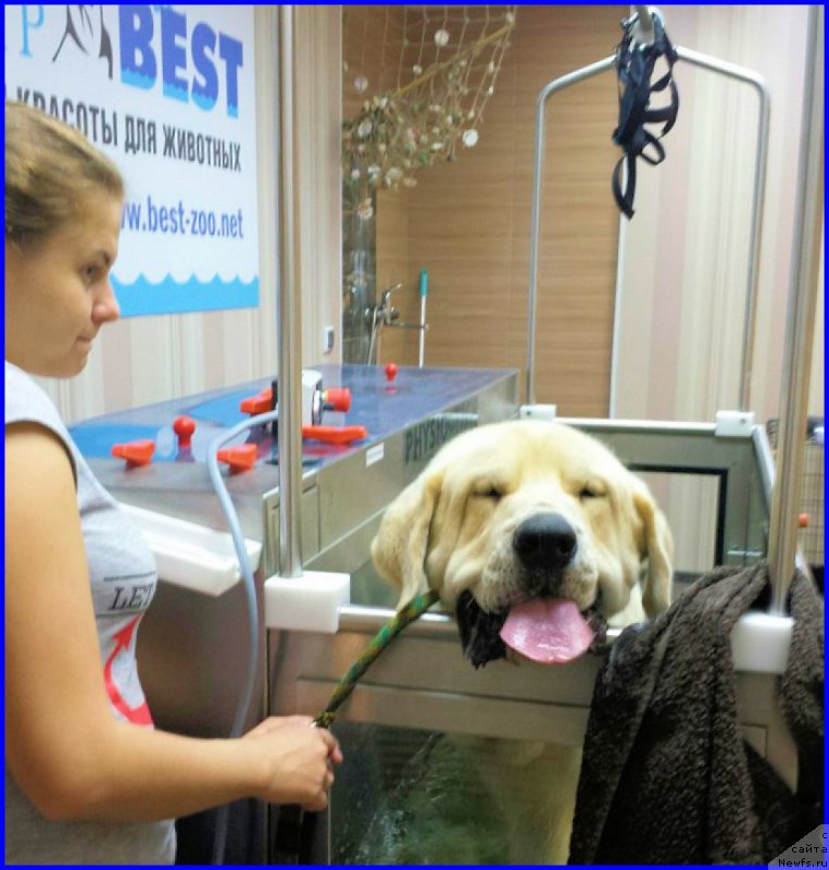 Фото: Лена Зырина, ФРАНКО