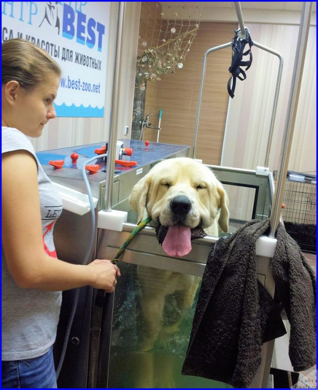 Фото: Лена Зырина, ФРАНКО