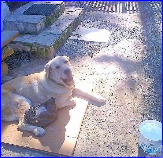 Фотография № 187813