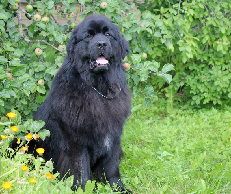 Фотография № 187821