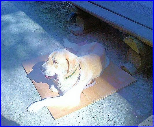 Фото: Лена Зырина, ФРАНКО