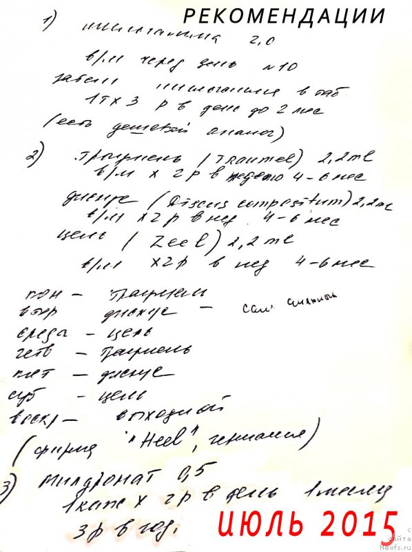 Фотография № 187825