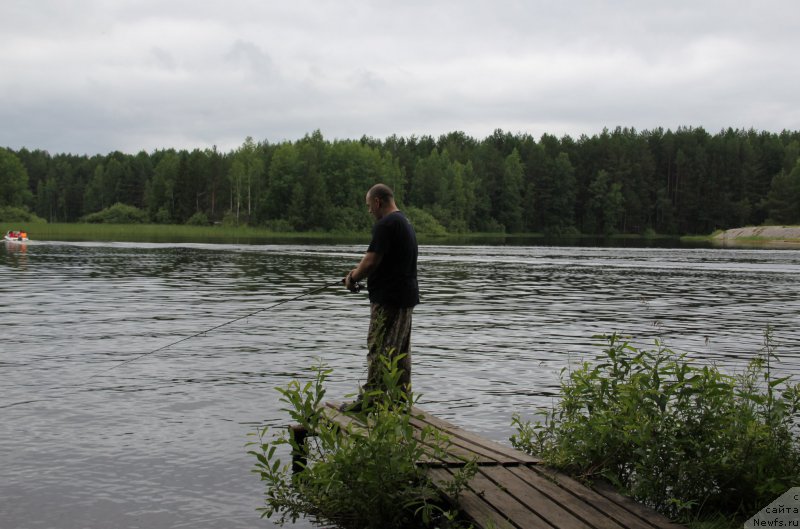 Фото: ньюфаундленд Черный Шарм Ангельская Красота (Chernyi Sharm Angel'skaya Krasota)