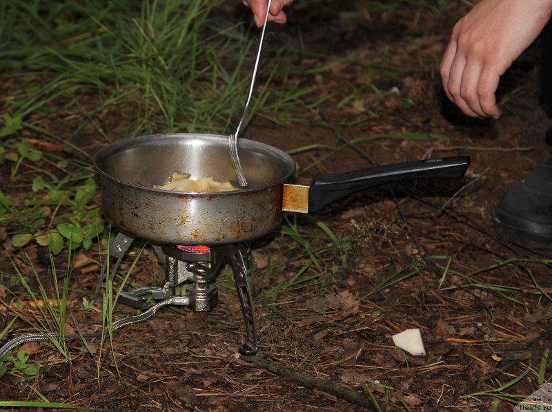 Фотография № 187843