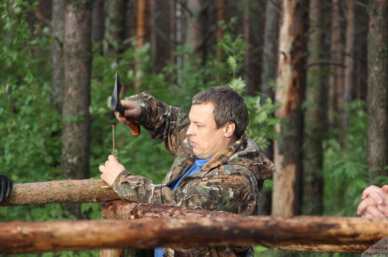 Фотография № 187849