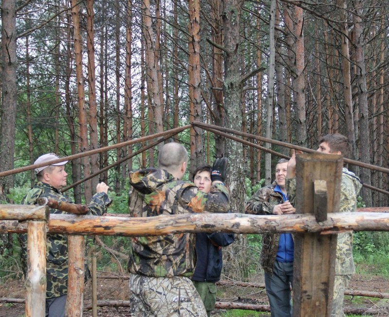 Фотография № 187850