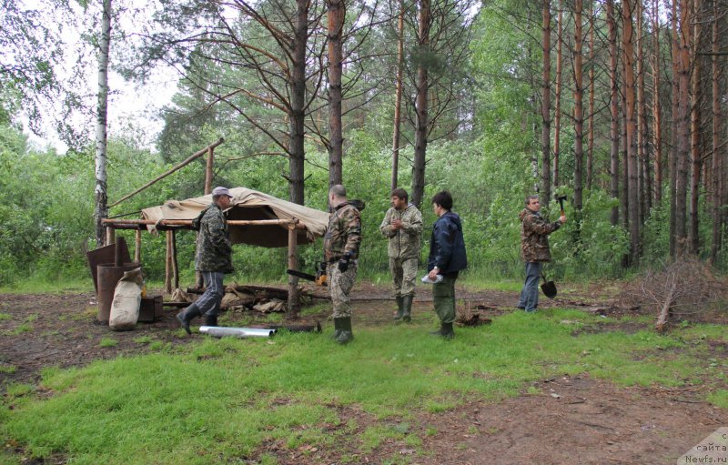 Фотография № 187858