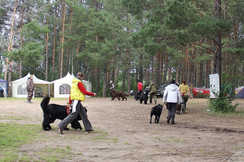 Фотография № 187859