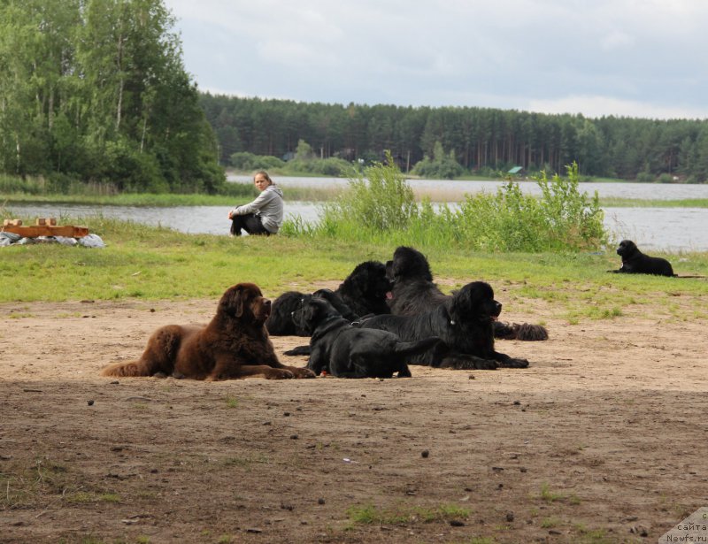 Фотография № 187864