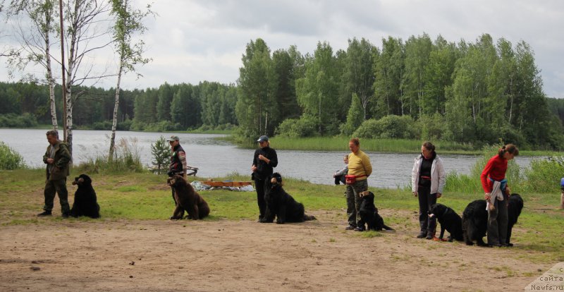 Фотография № 187868