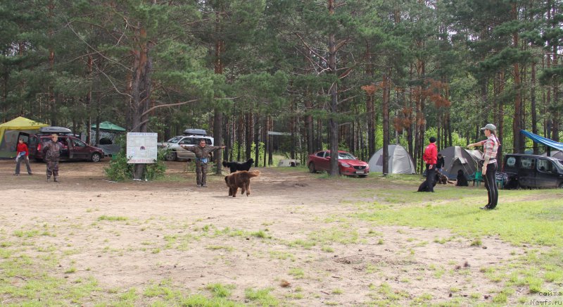 Фотография № 187872