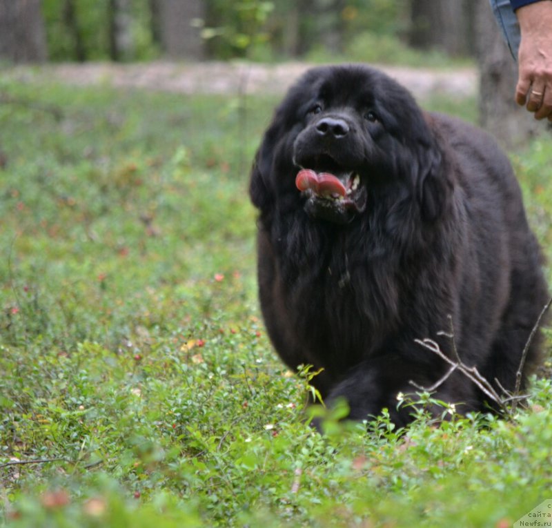 Фотография № 187881