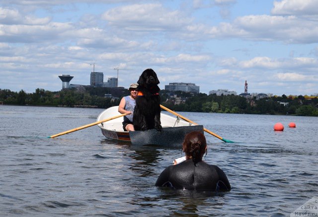 Фотография № 187927