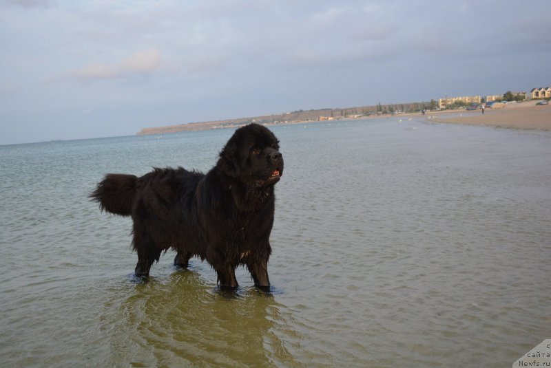 Фотография № 187936