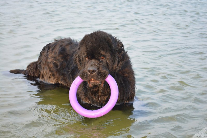 Фотография № 187937