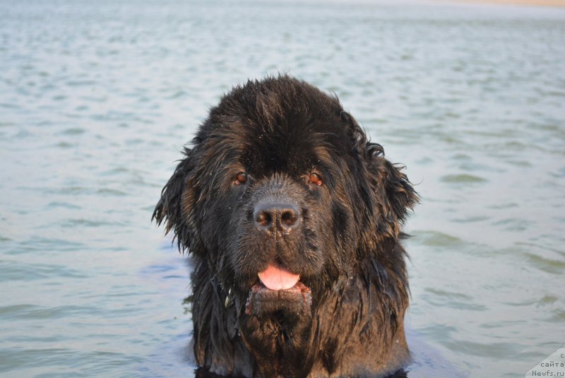 Фотография № 187938