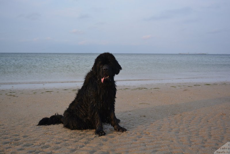 Фотография № 187939