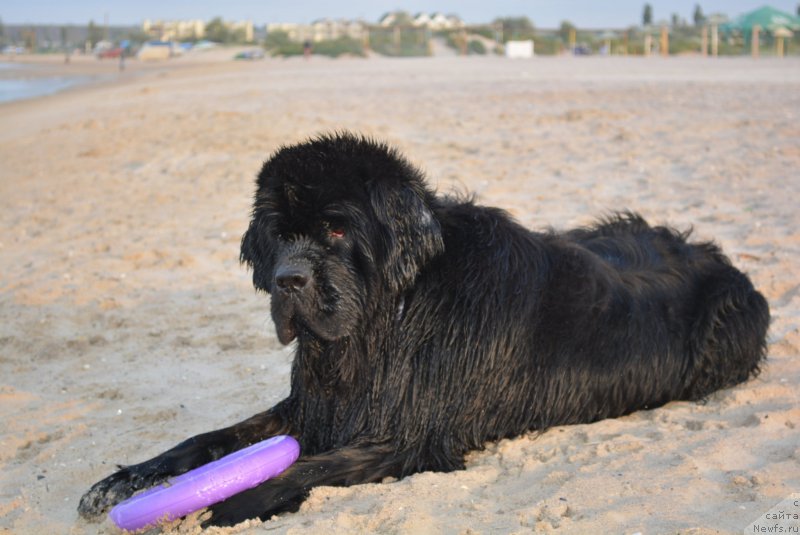 Фотография № 187940