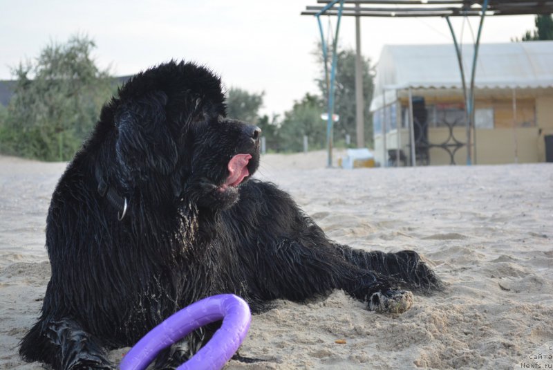 Фотография № 187942