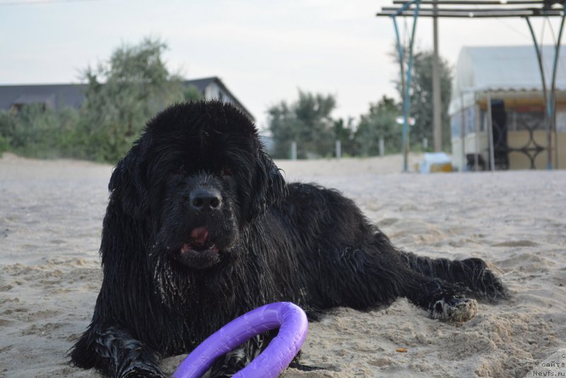 Фотография № 187943