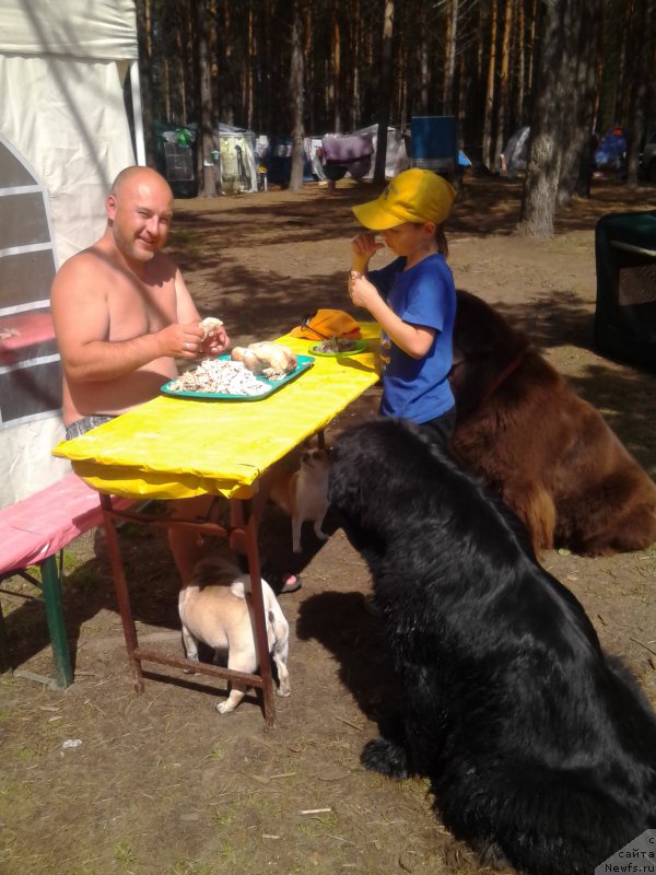 Фото: Алексей Нистратов, и Славик