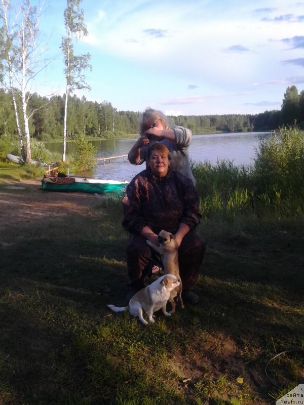 Фотография № 187966