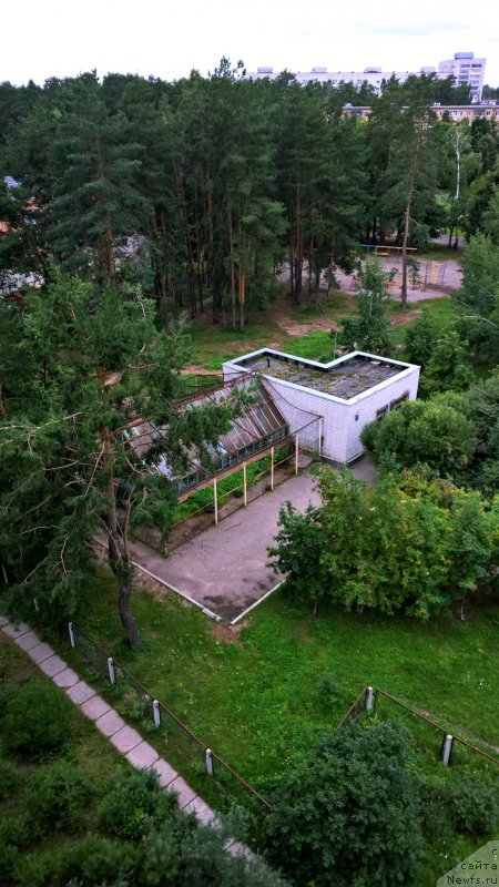 Фото: Ирина Конищева