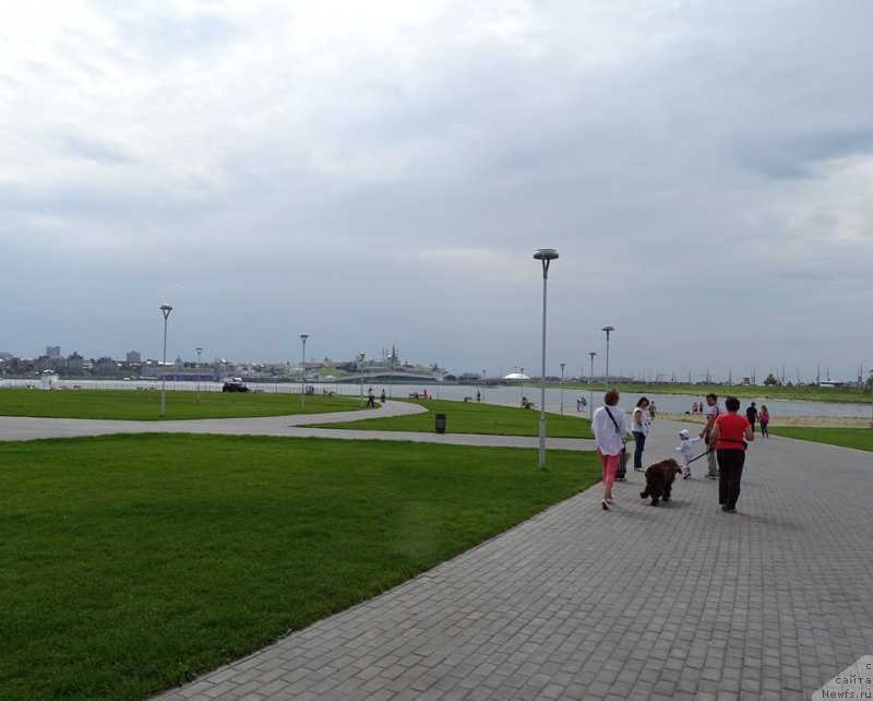 Фото: ньюфаундленд Ньюфорт Вивиан, Галия Гизатуллина, Эльза Чернова