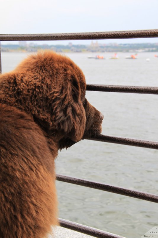 Фотография № 188031