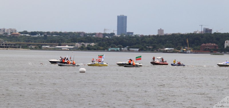 Фотография № 188032