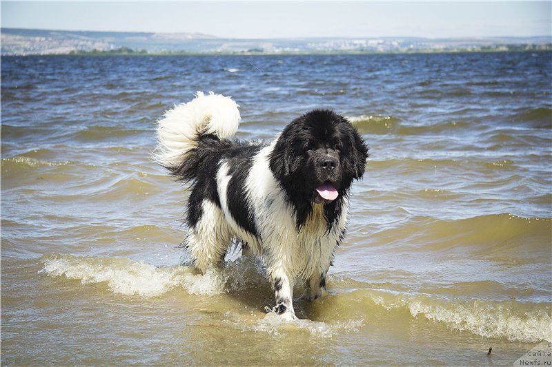 Фотография № 188037